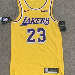 Lebron James #23 (On Court) Laker Jersey!