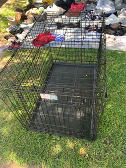 Dog house