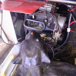 Two-seater Dune Buggy *Serious Inquiries Only*