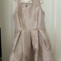 Dress Size 12