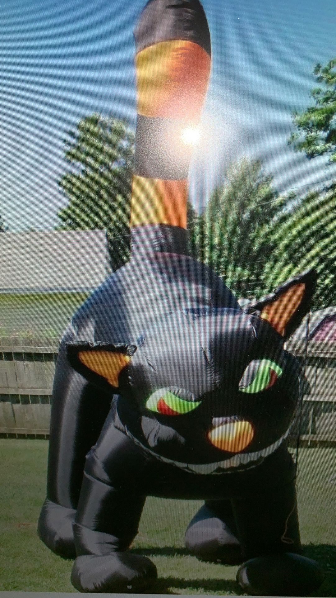 10 Ft Inflatable Black Cat w/ Turning Head Halloween