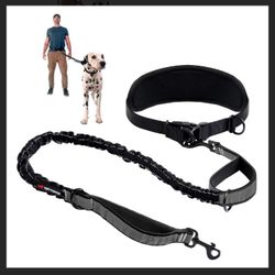 Hands Free Leash