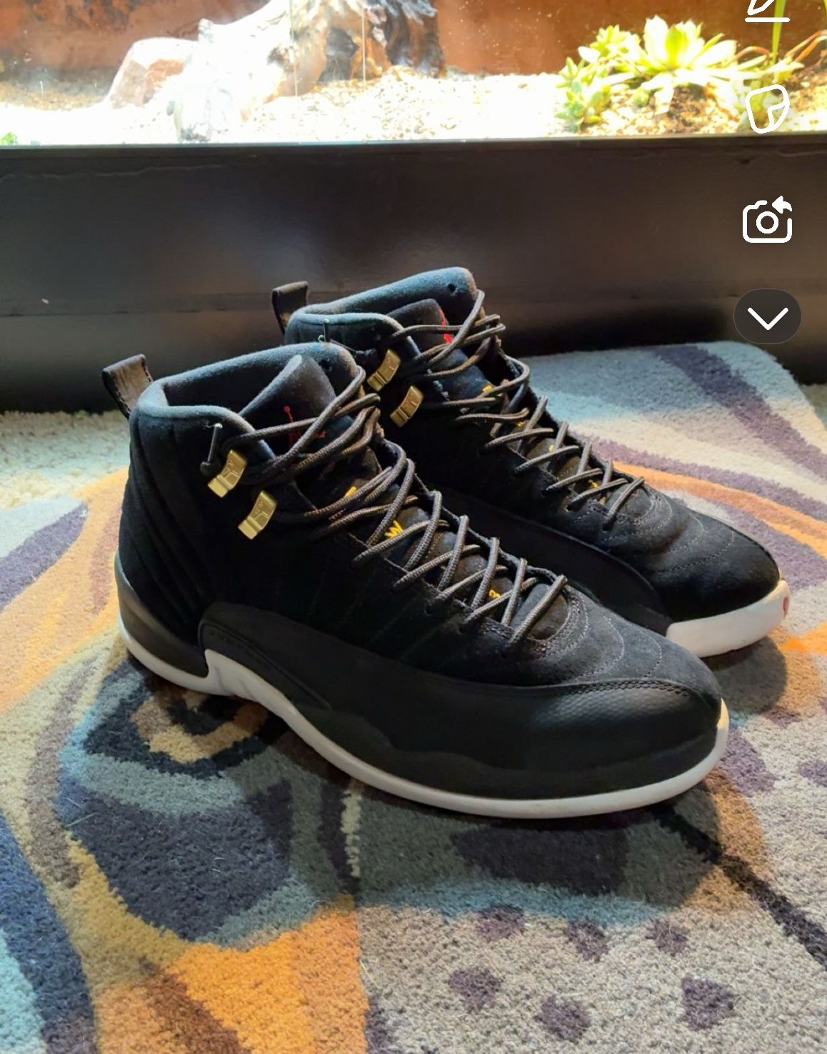 Jordan Retro 12s