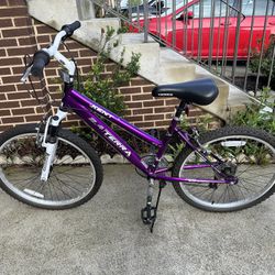 Kent Girls Bicycle (Purple)
