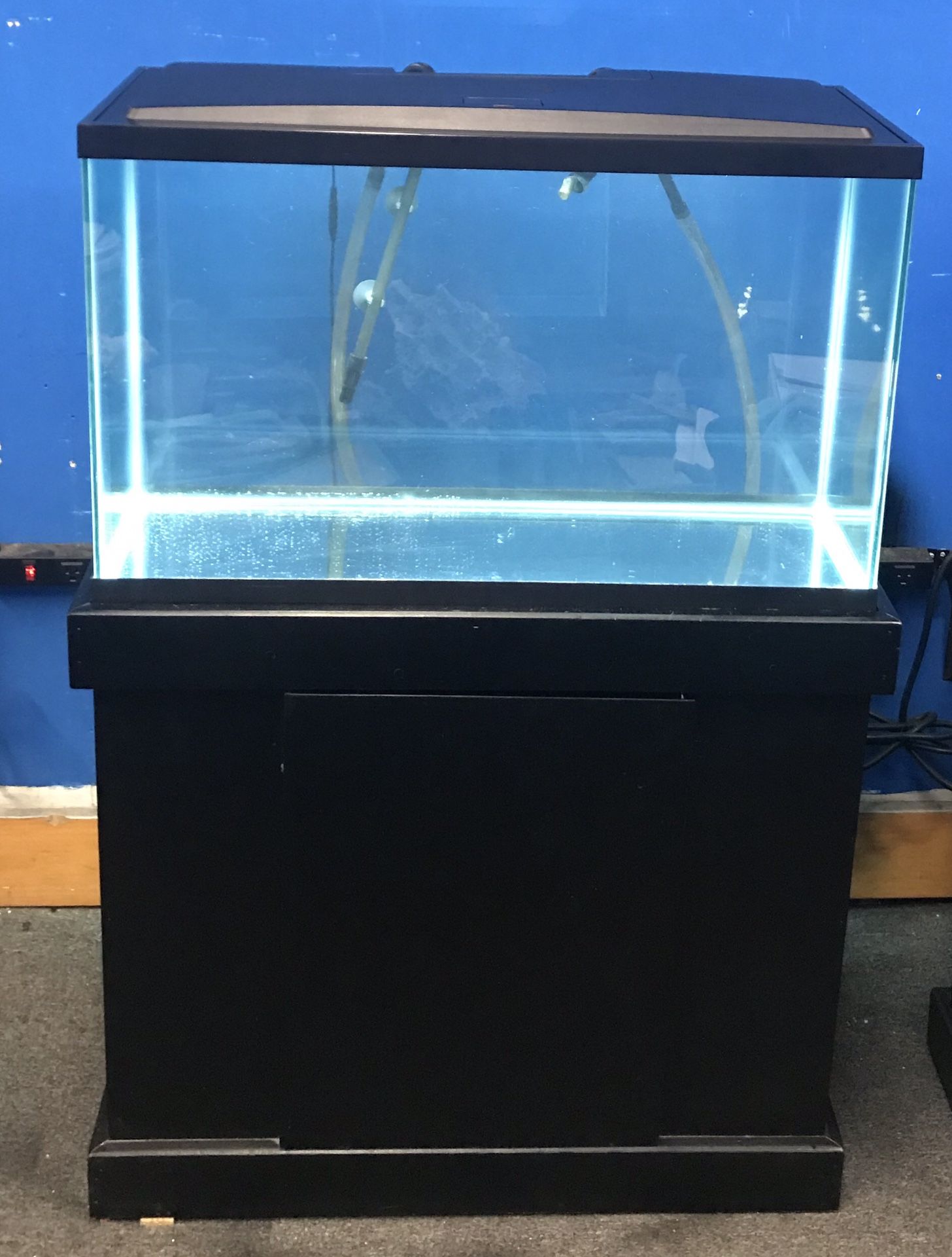 29 gallon aquarium fish tank complete $200