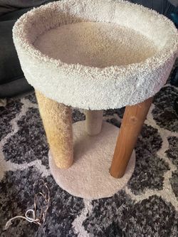Beige Carpet Small cat tree