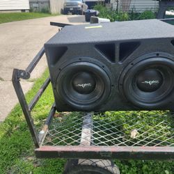 Skar Audio 10 Inch Subs 