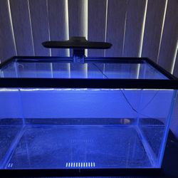 10 Gallon Aquarium Tank with LED Lighting 