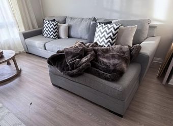 Gray Sofa
