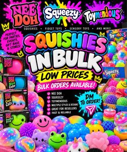 Looking To Sell In Bulk, Variety Of Needoh & Squishes
