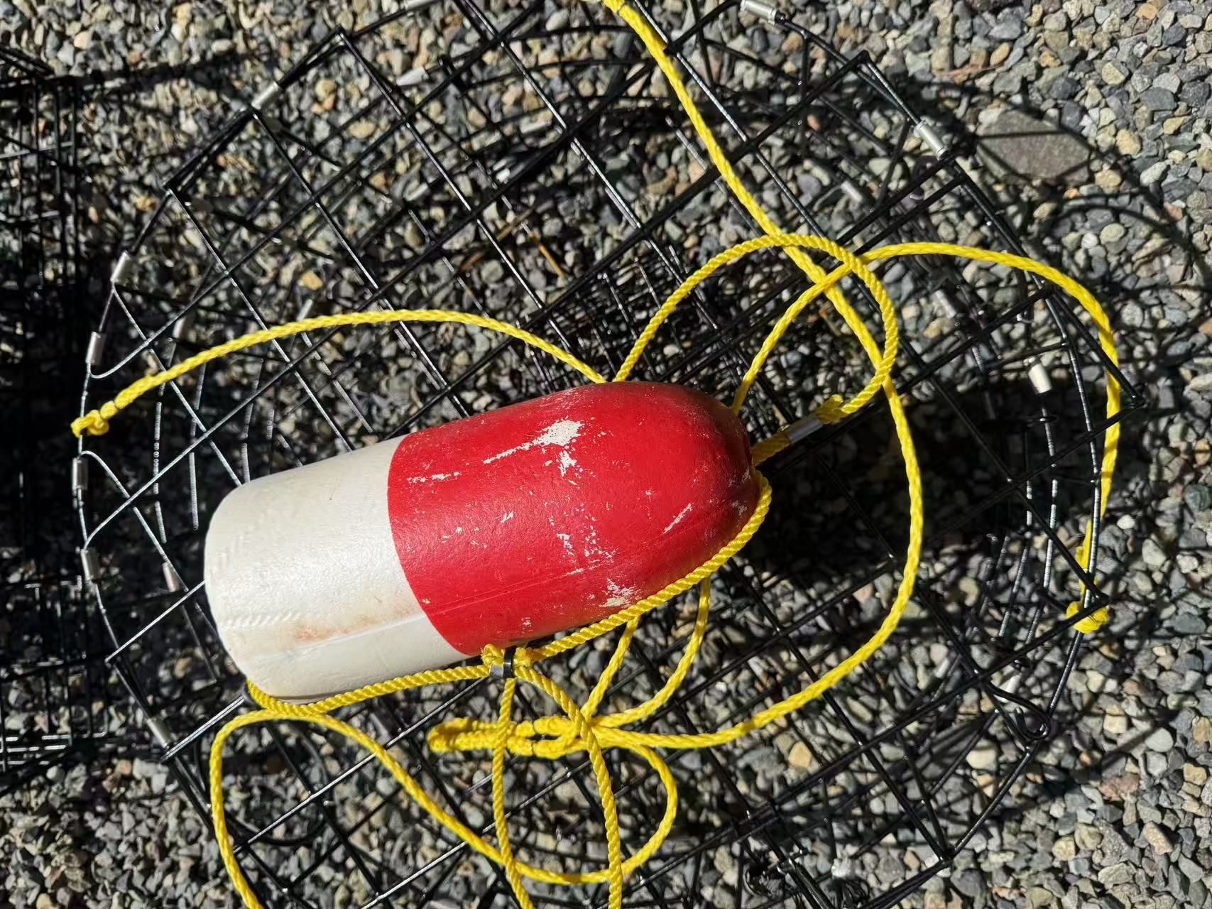 Crab Pot