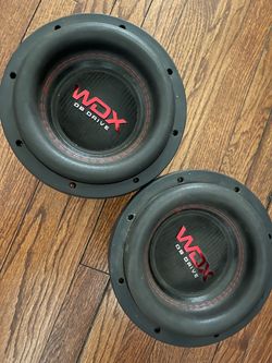 10” Db drive speaker