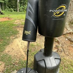 2 boxing bags for training