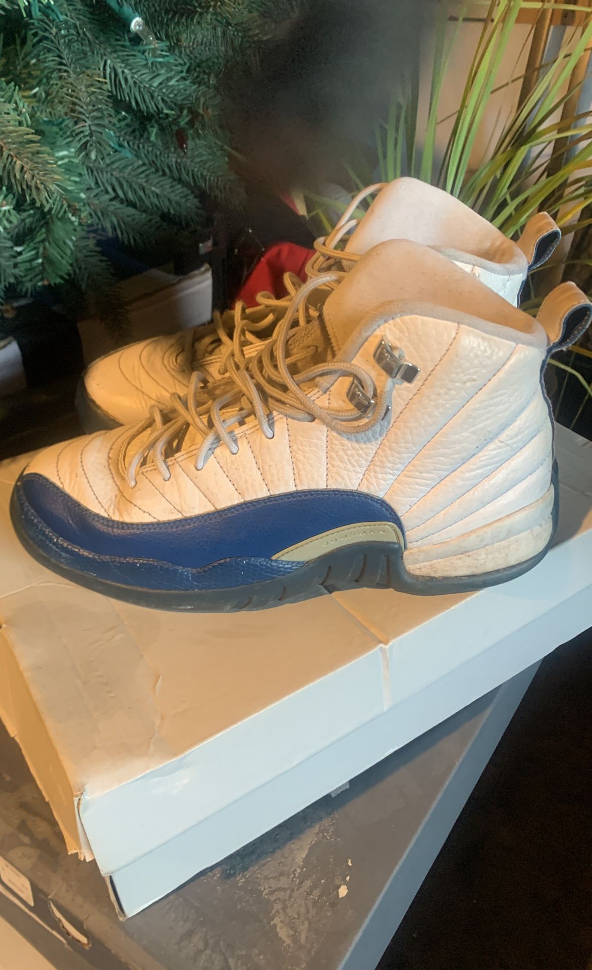 Jordan 12 (French Blue)