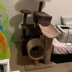 Cat Tree