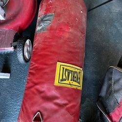 Boxing Bag