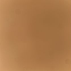 I Clean Windows And Can Do Any Other Things