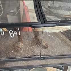 40 Gallon Terrarium 