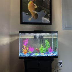 20 Gallon Fish Tank 