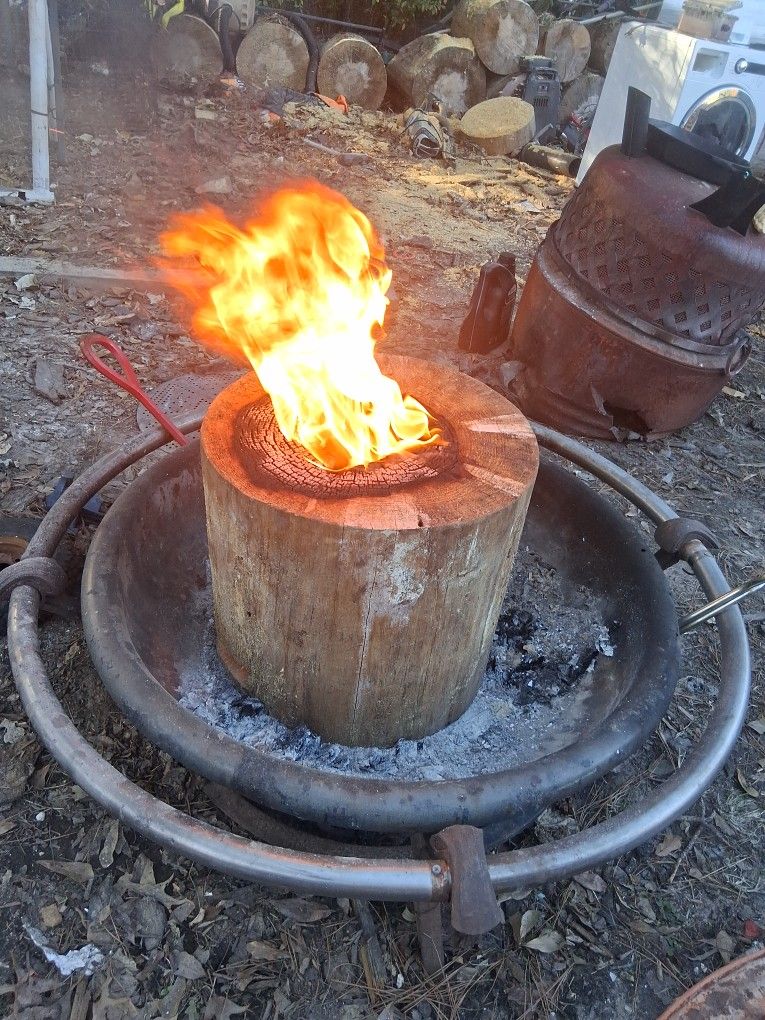 pine wild bonfirelog