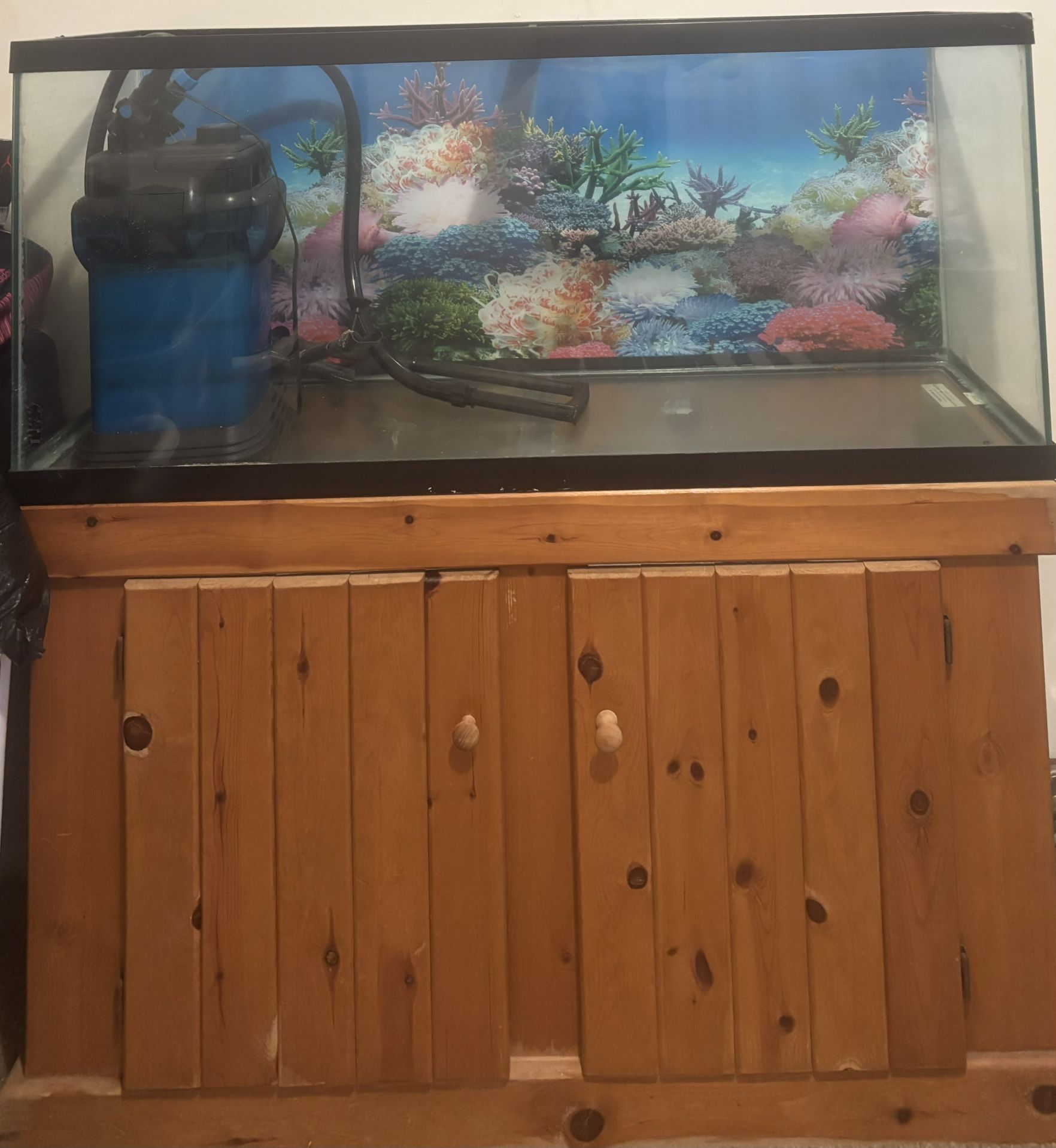 55 Gallon Tank With Stand And Extras !!!