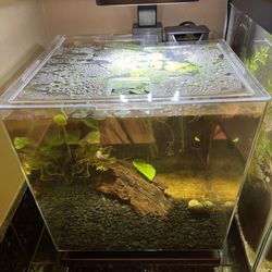 Tetra LED Cube - 3 gallon aquarium