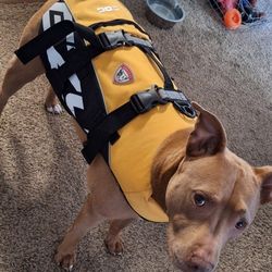 Dog Life Vest 