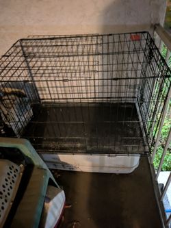dog cage