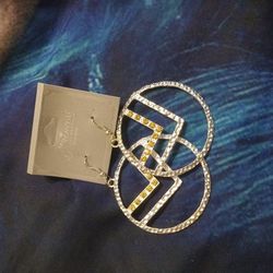 Brand New Earrings Never Worn
