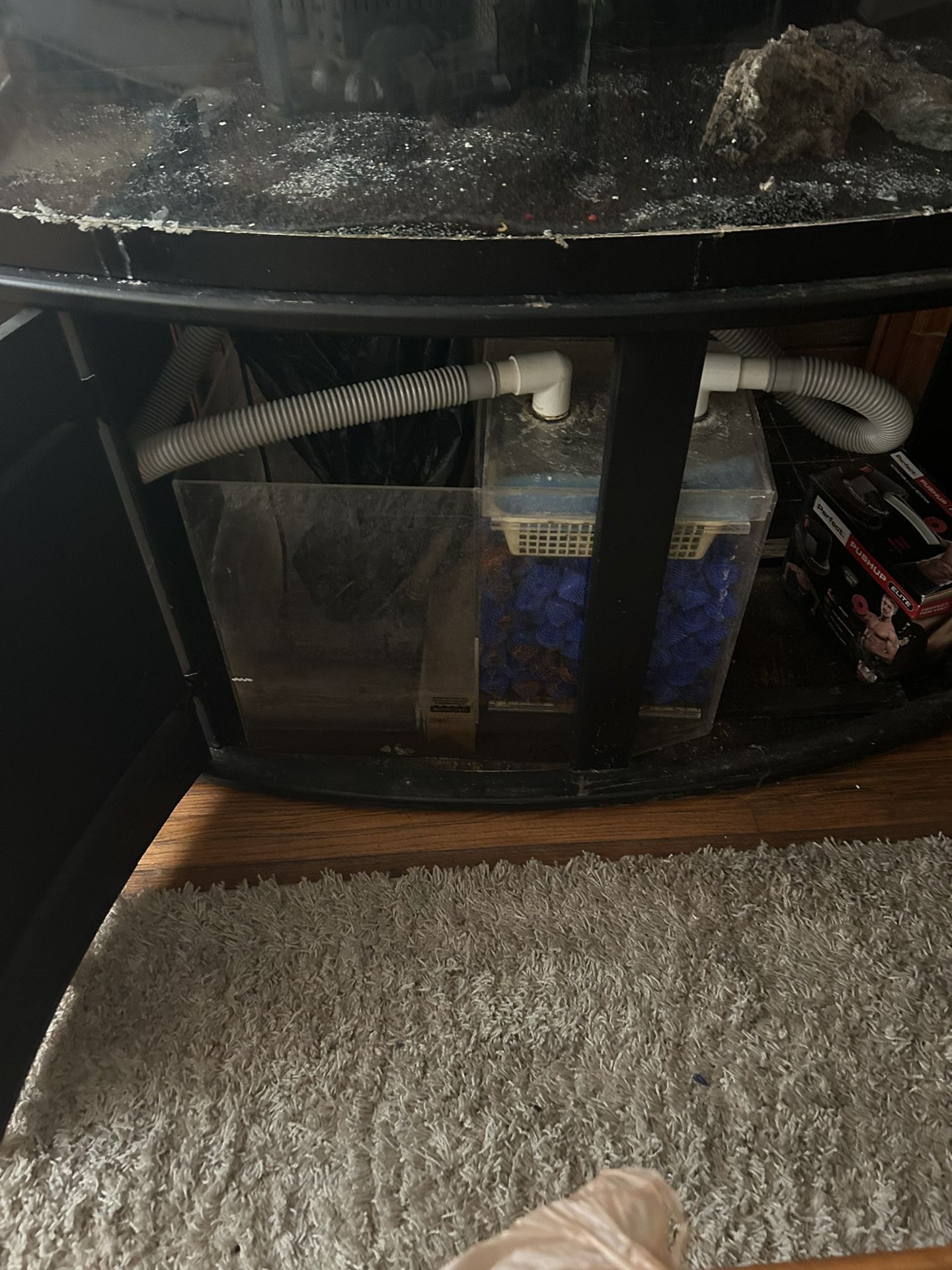 72 Gallon bow Front