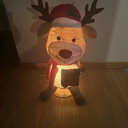 Christmas lighted decoration