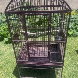 Bird Cage 