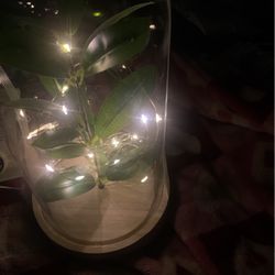 Light Up Plant