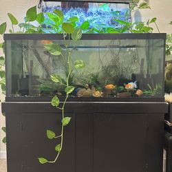 75 Gallon Fish tank 