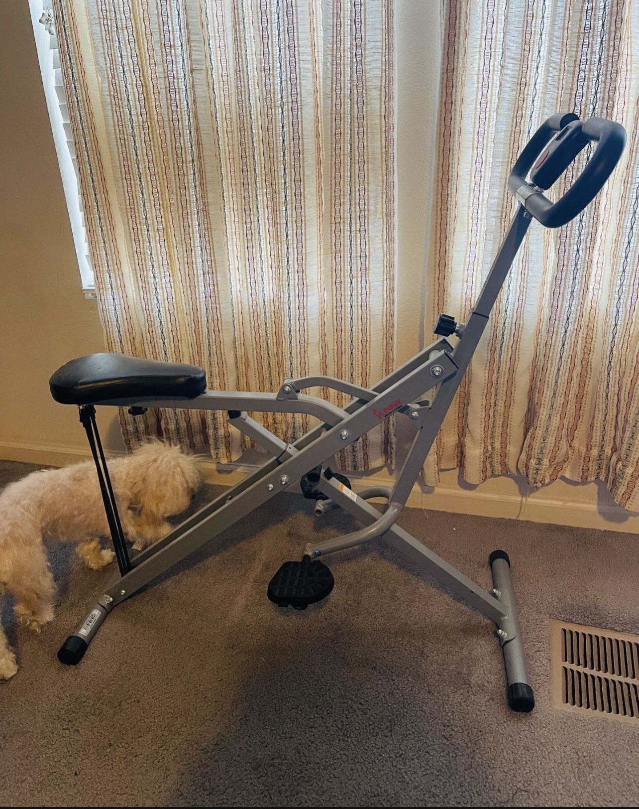 Fitness Upright Row-N-Ride™ Exerciser in