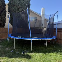Trampoline 