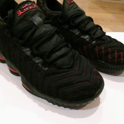 Boys Lebron James XVI TD 16 shoes