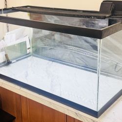 50 Gallon Fish Tank For Sale