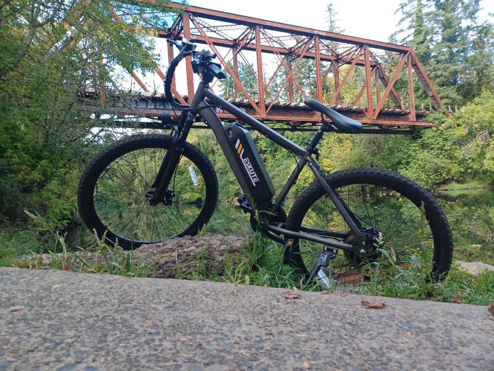 Electric Bike