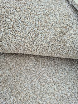 Carpet used  free