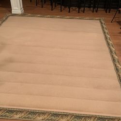 Area rug 10 x 12