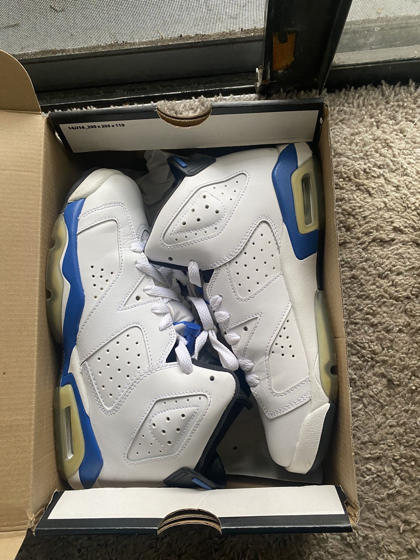 Jordan Retro Sport Blue 6s GS6