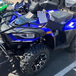 Atv300cc