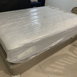Queen Bed And box Spring 