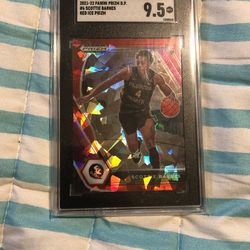 Sports Card Scottie Barnes