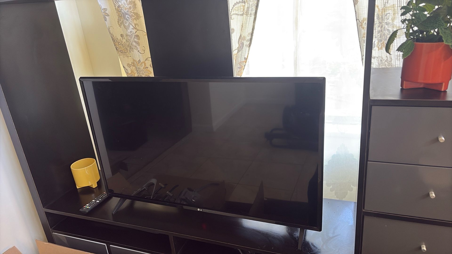 TV