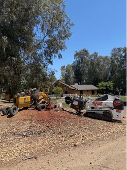 Bobcat stump grinder