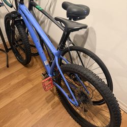 Bikes for Sale 