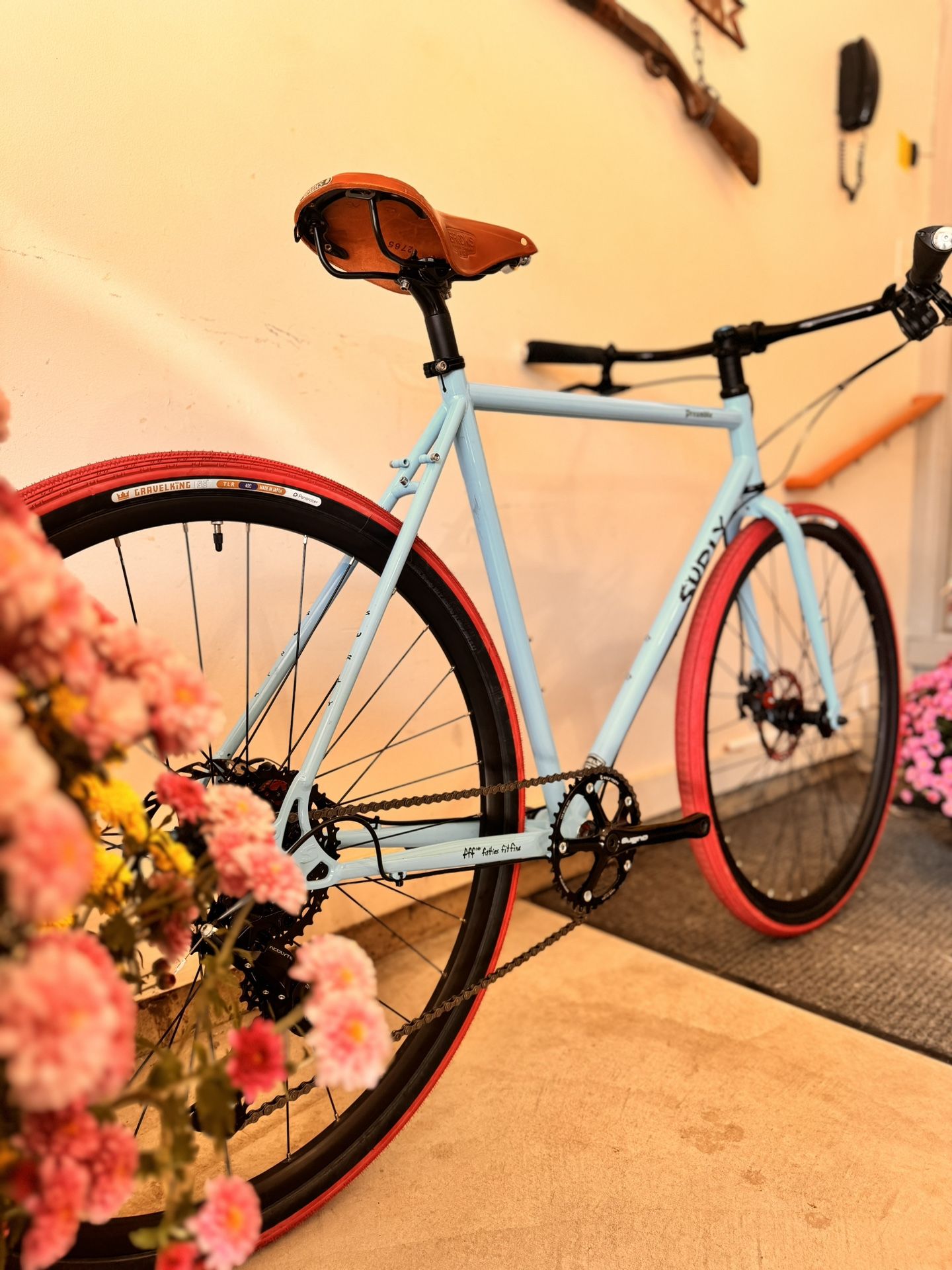 🌺 Surly Preamble🌺