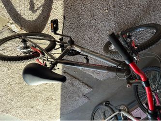 20 inch Kobra bike